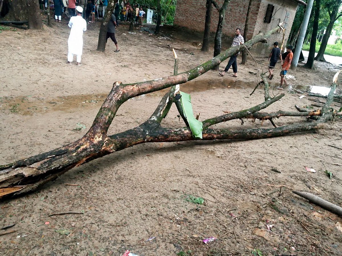 চট্টগ্রামের রাঙ্গুনিয়ায় মর্মান্তিক দুর্ঘটনা: গাছের ডাল ভেঙে চতুর্থ শ্রেণির শিক্ষার্থীর মৃত্যু