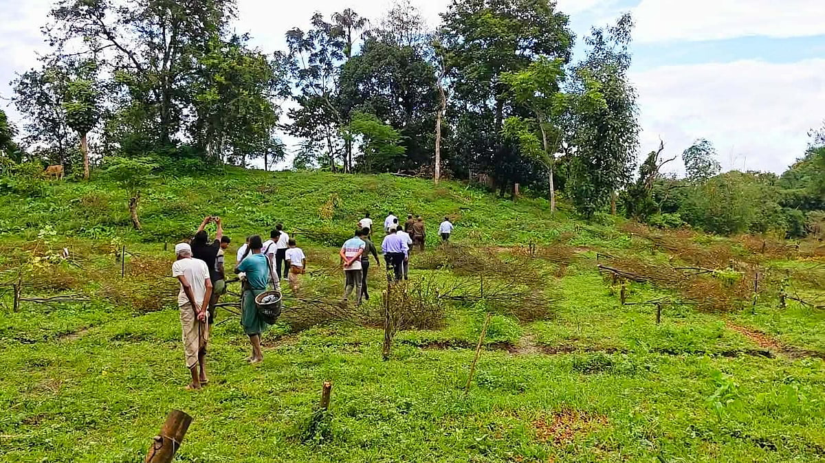 কমলগঞ্জে ফলন্ত কমলাবাগান ধ্বংসের ঘটনা: সরেজমিন তদন্ত করল উচ্চপর্যায়ের কমিটি