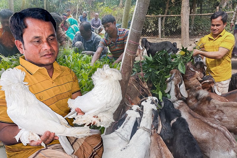 কৃষিতে বিপ্লব: হেমন্ত চন্দ্র বর্মণের হাত ধরে বদলে যাওয়া গোবরা এখন দেশের অন্যতম ‘নার্সারি গ্রাম’