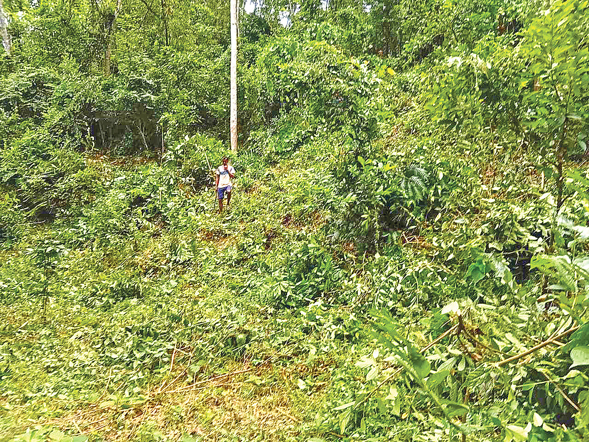 মৌলভীবাজারের কুলাউড়ায় বিরোধপূর্ণ জমি দখল নিয়ে সংসদ সদস্যের মধ্যস্থতা ও আইনি মারপ্যাঁচ