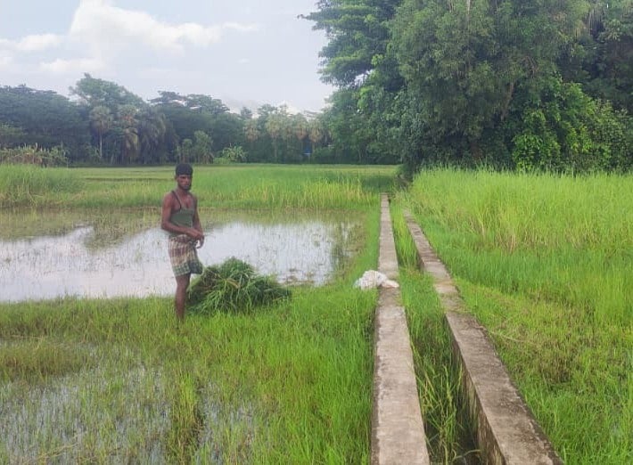সন্দ্বীপে ১৩ লাখ টাকার সেচ প্রকল্প অচল: কৃষকদের হাহাকার