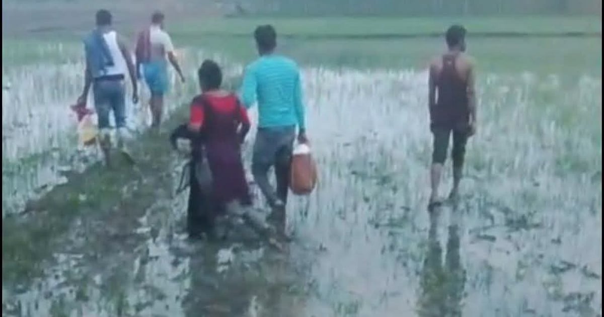 মেহেরপুর সীমান্তে বিএসএফের ঠেলে পাঠানোর চেষ্টা ব্যর্থ, বিজিবির কঠোর অবস্থান