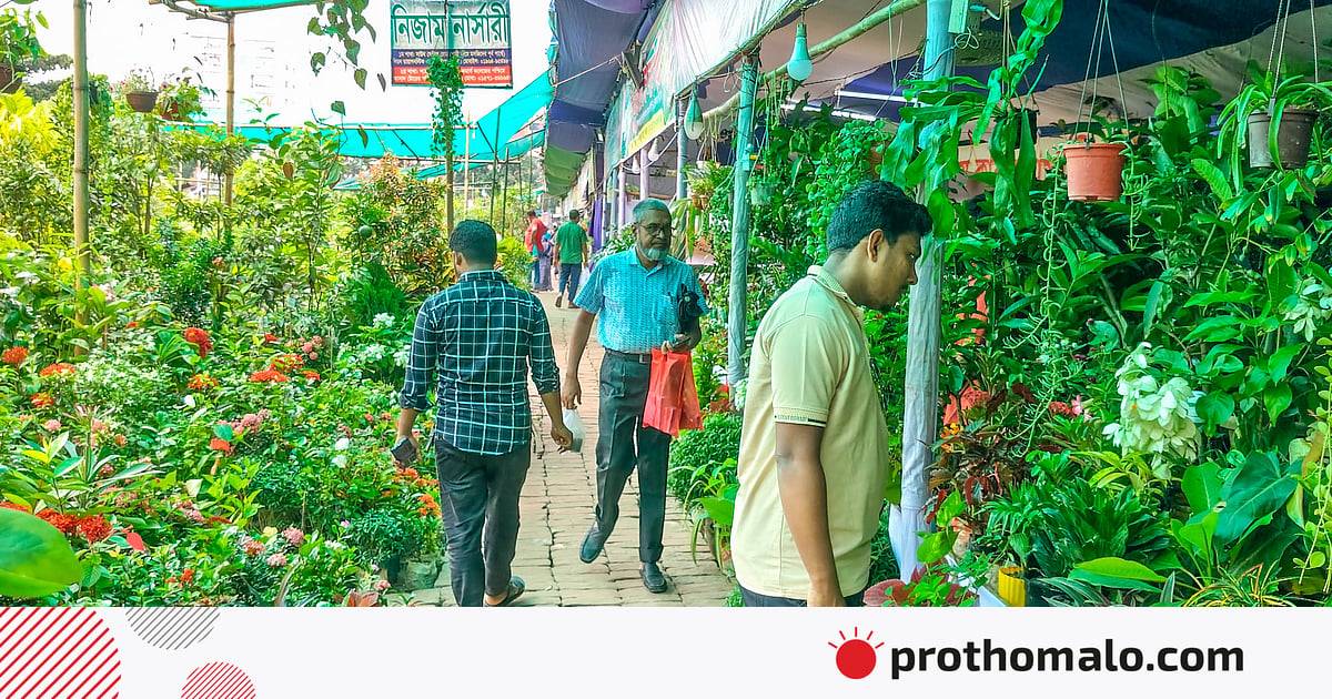 খুলনা বৃক্ষমেলায় কোটি টাকার চারা বিক্রি, আকর্ষণের কেন্দ্রে বিদেশি দুর্লভ ফলগাছ