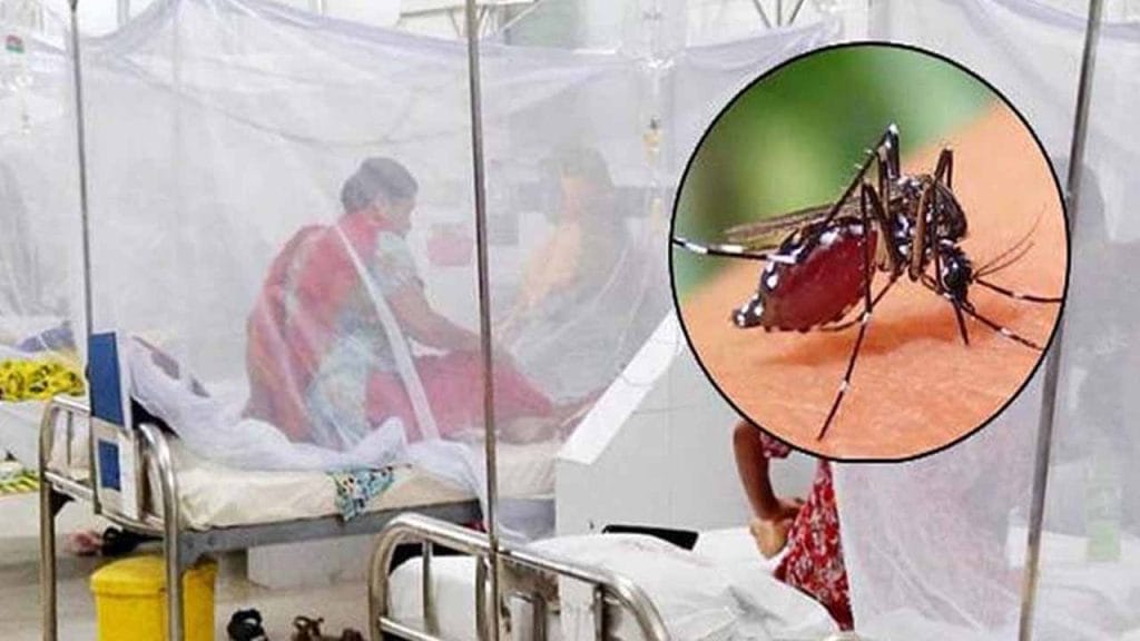 একদিনে ডেঙ্গুতে ২ মৃত্যু, হাসপাতালে ভর্তি ৩৬৪